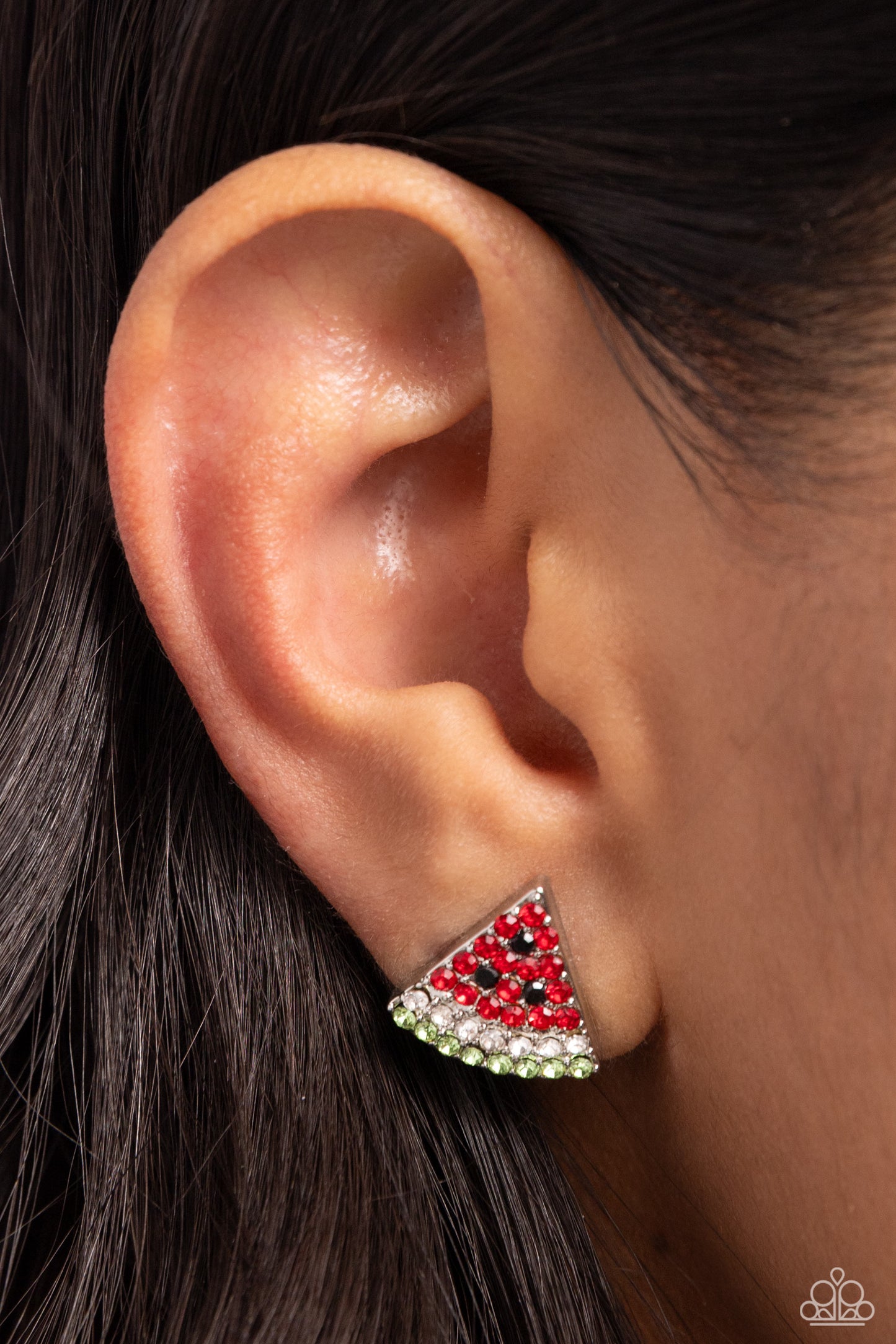Watermelon Slice - Red Watermelon Earrings
